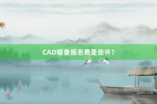 CAD稽查报名费是些许？
