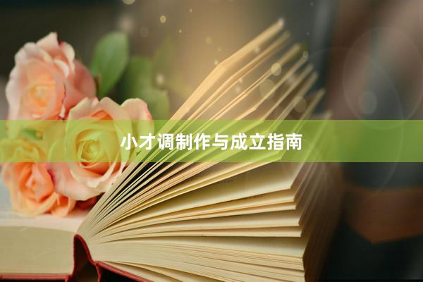 小才调制作与成立指南
